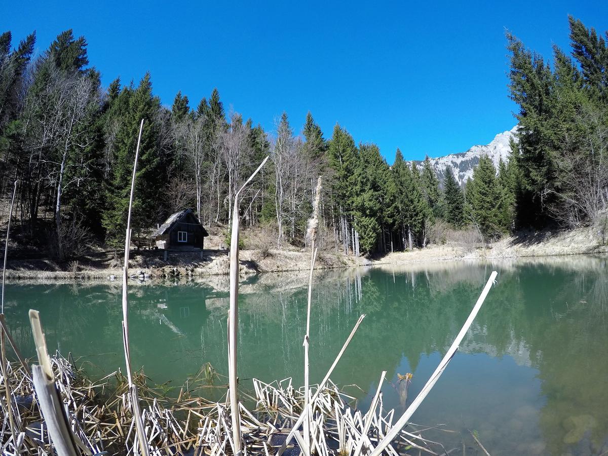לינה וארוחת בוקר Tržič Karami Mountainhouse מראה חיצוני תמונה